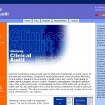 Clinical Audit Screenshot