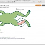 RECAL screenshot